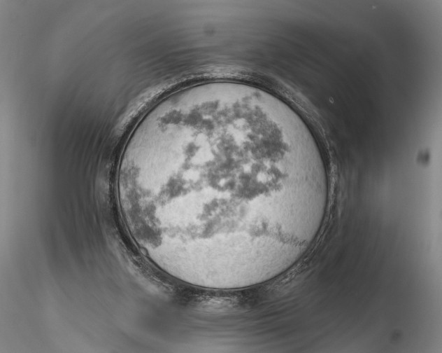 X0000115590155200912011511