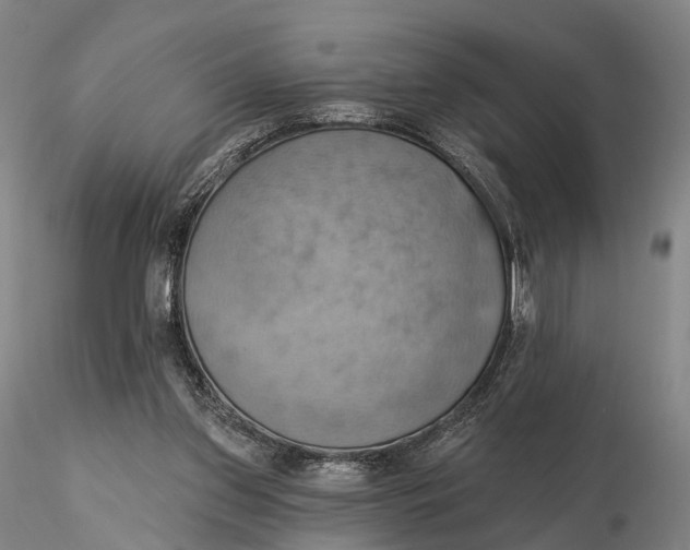 X0000115590157200912011511