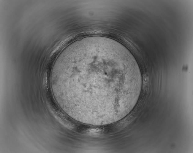 X0000115590158200912011511