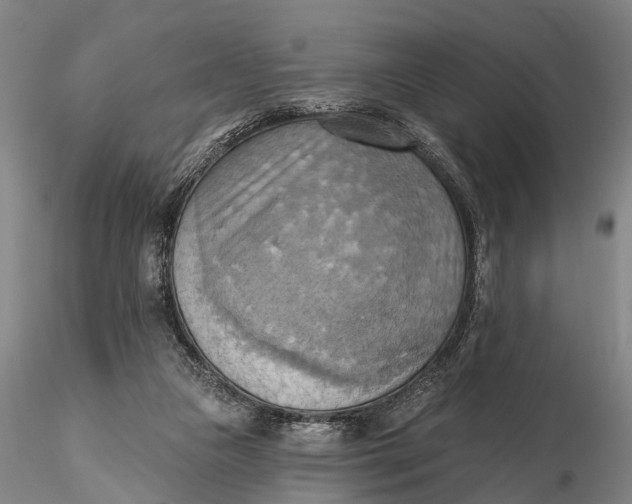 X0000115590161200912011511
