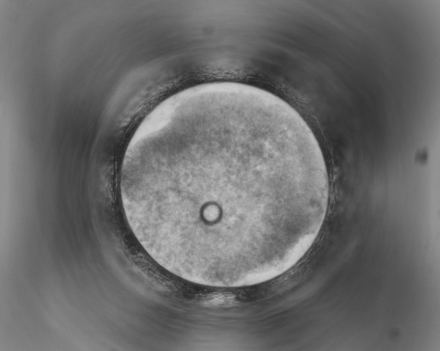 X0000115590162200912011511