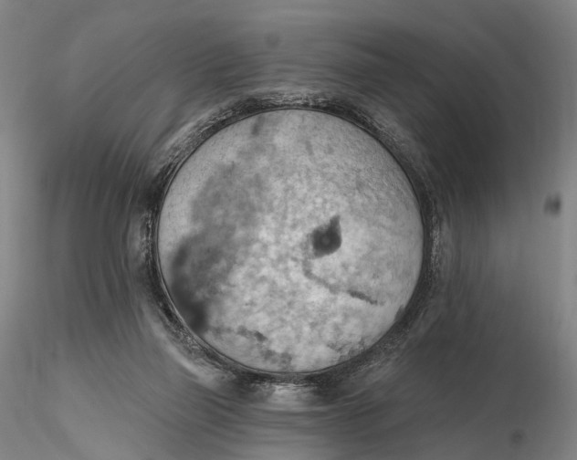 X0000115590165200912011511