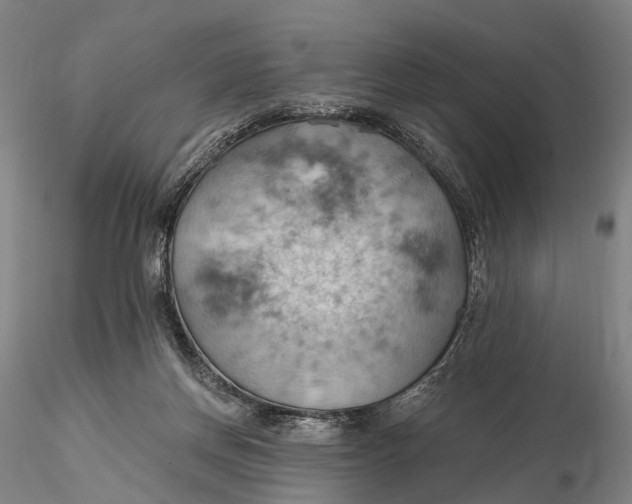 X0000115590166200912011512