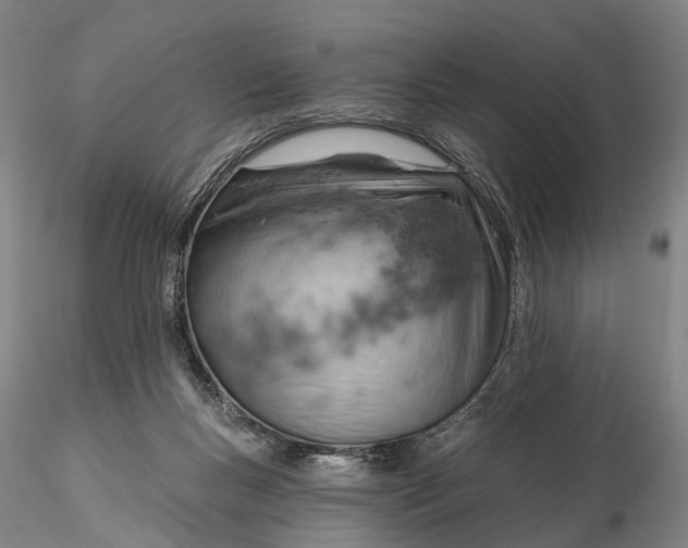 X0000115590167200912011512