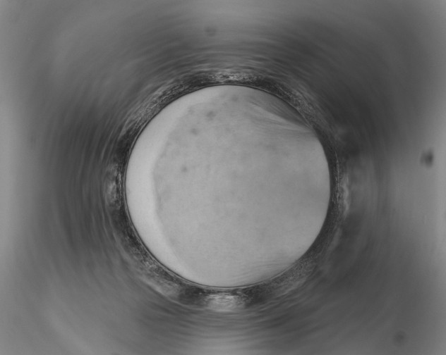 X0000115590169200912011512