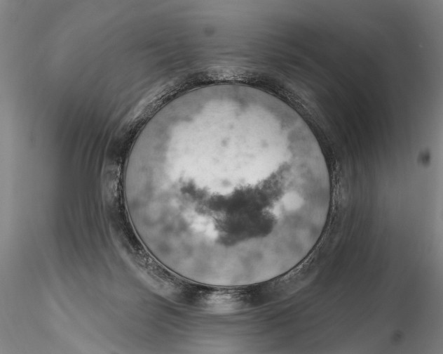 X0000115590171200912011512