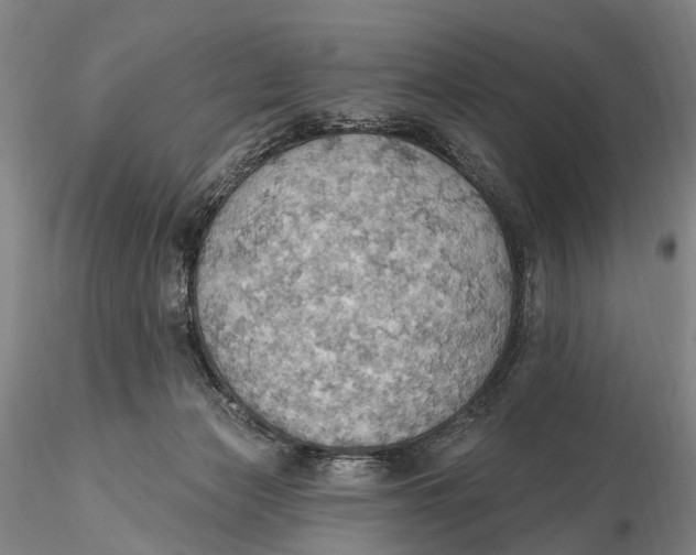 X0000115590173200912011512