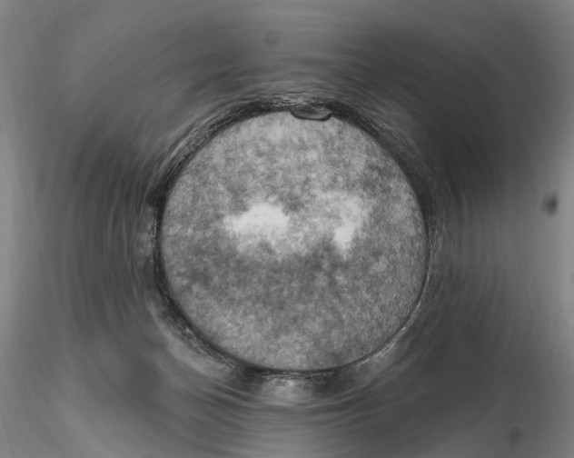 X0000115590174200912011512