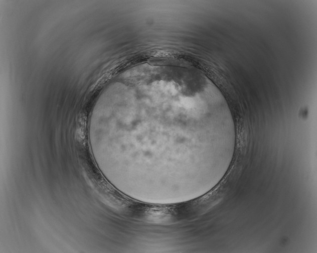 X0000115590175200912011512