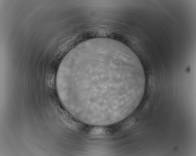 X0000115590177200912011512