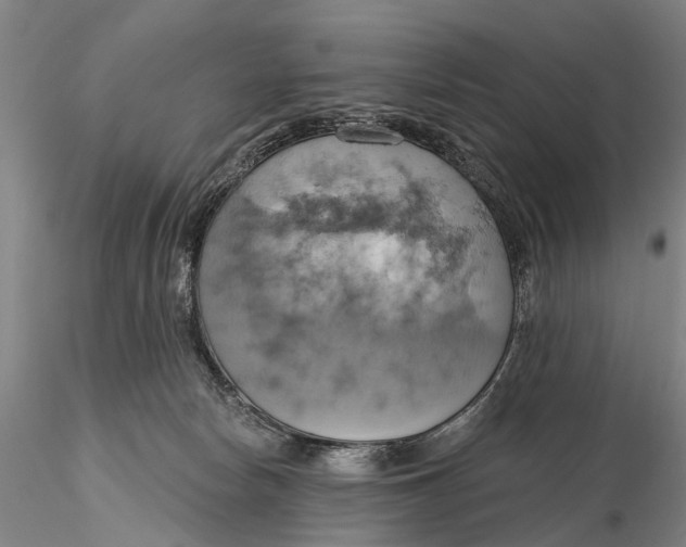 X0000115590178200912011512