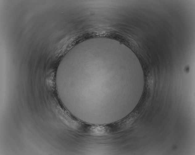 X0000115590181200912011512