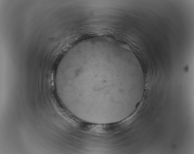 X0000115590182200912011512
