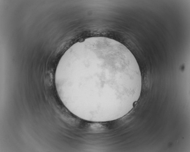 X0000115590183200912011512