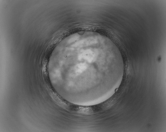 X0000115590185200912011512