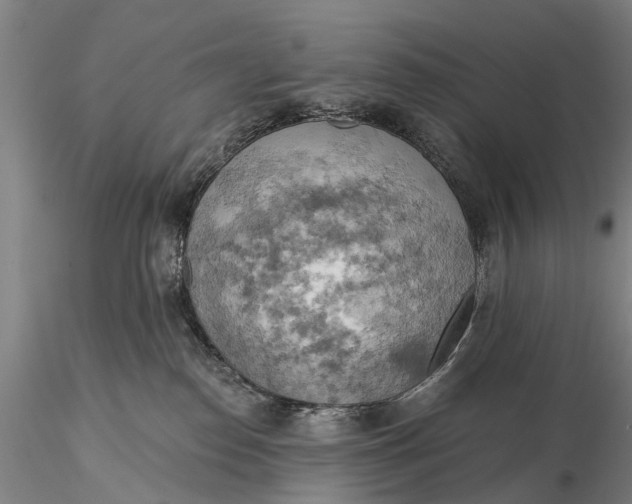 X0000115590186200912011512
