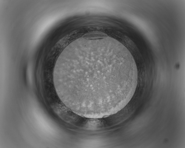 X0000115590189200912011512