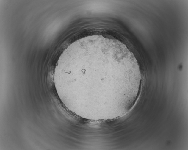 X0000115590190200912011512