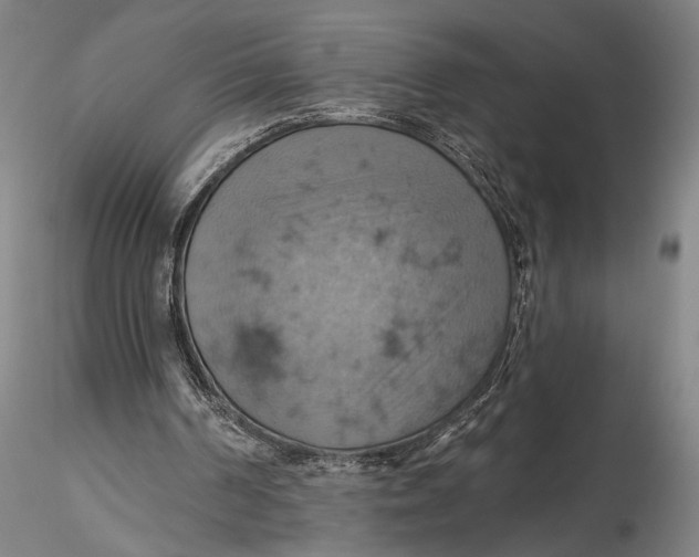 X0000115590194200912011511