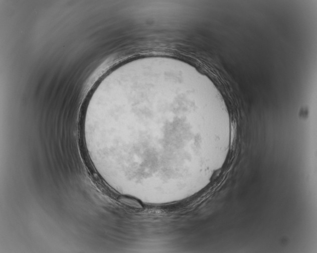 X0000115590195200912011511