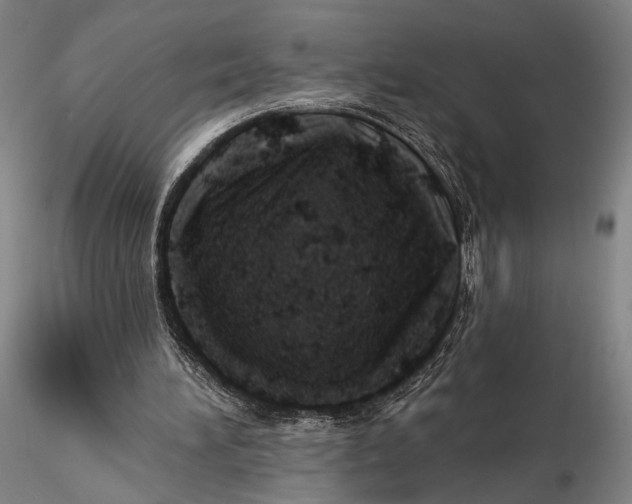 X0000115590196200912011511