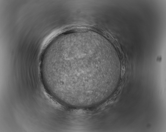 X0000115590197200912011511