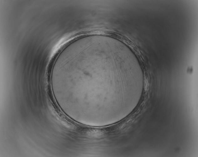 X0000115590198200912011511