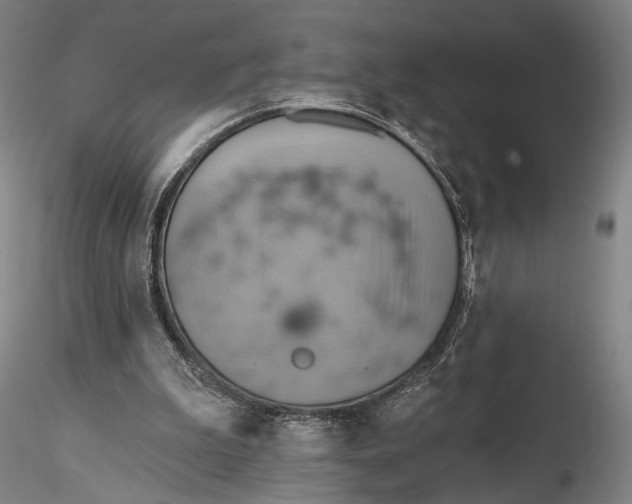 X0000115590199200912011511