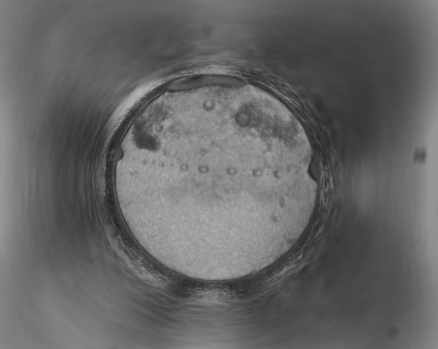 X0000115590200200912011511