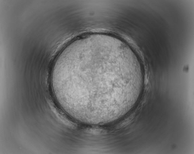 X0000115590201200912011511