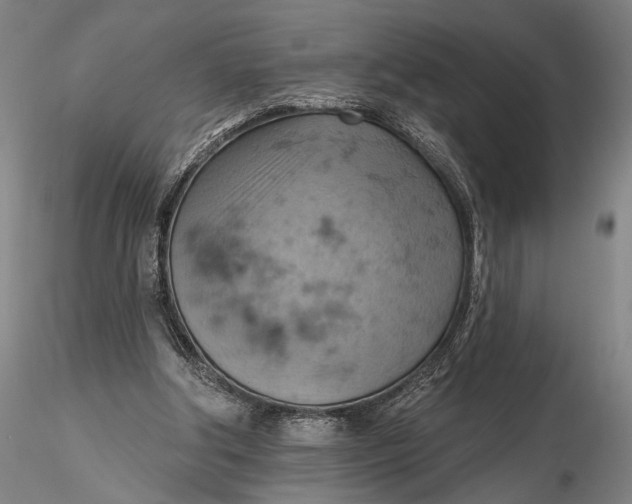 X0000115590202200912011511
