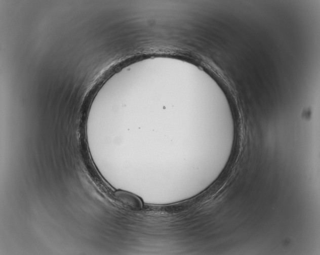 X0000115590203200912011511