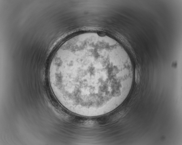 X0000115590204200912011511