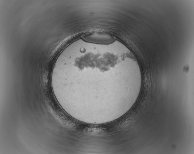 X0000115590208200912011511