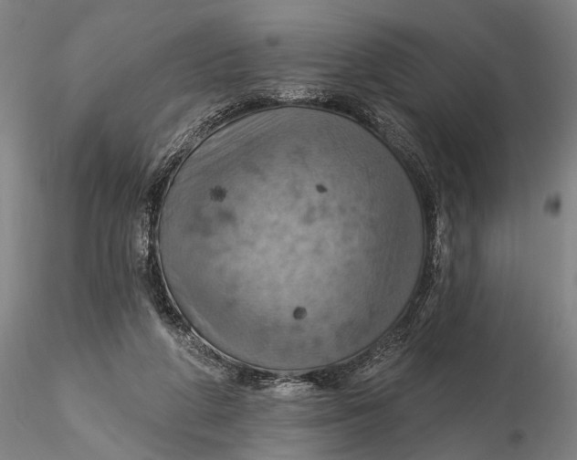 X0000115590210200912011511