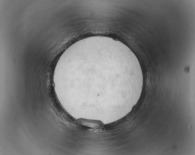 X0000115590211200912011511
