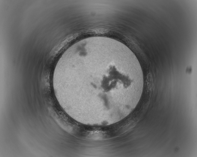 X0000115590212200912011511