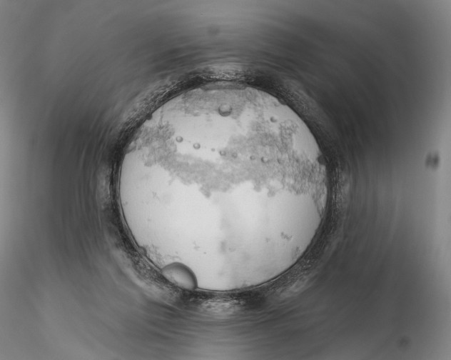X0000115590213200912011511