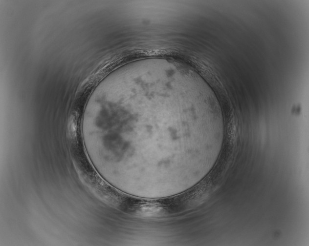 X0000115590214200912011511