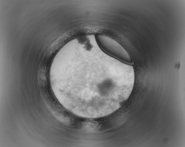 X0000115590215200912011511