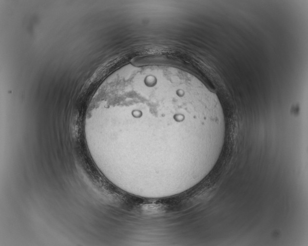 X0000115590216200912011511