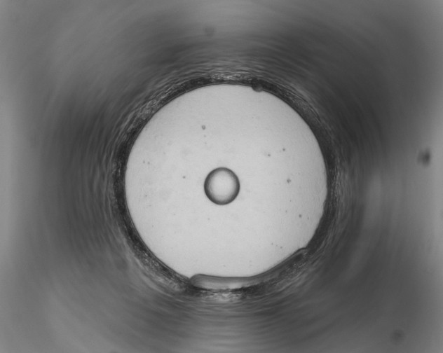 X0000115590217200912011511