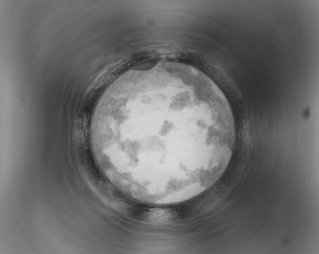X0000115590218200912011511