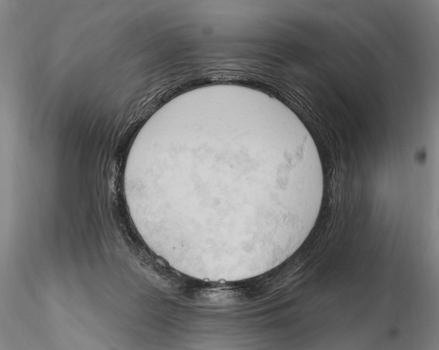 X0000115590219200912011511