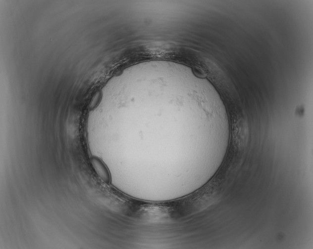 X0000115590221200912011511