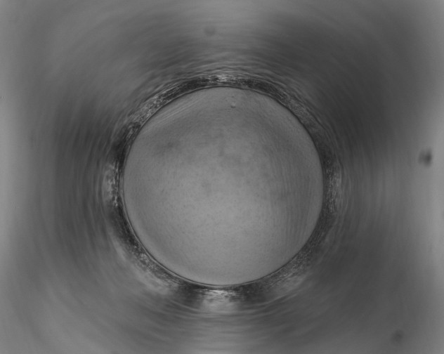 X0000115590222200912011511