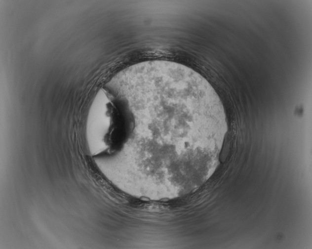X0000115590223200912011511