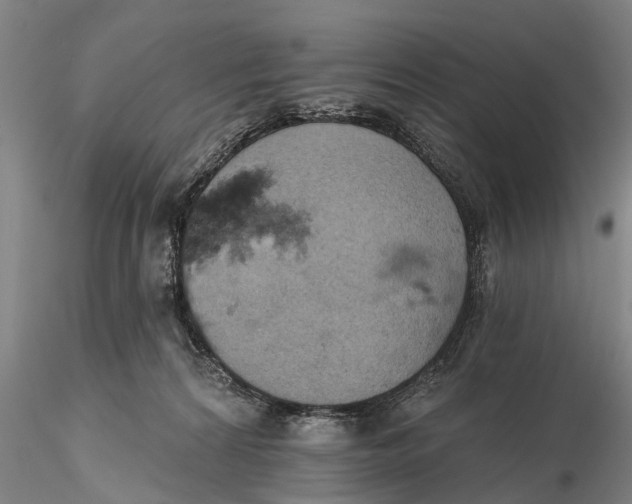 X0000115590224200912011511