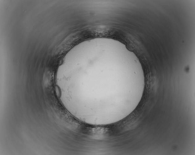 X0000115590225200912011511
