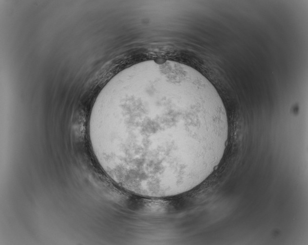 X0000115590226200912011510